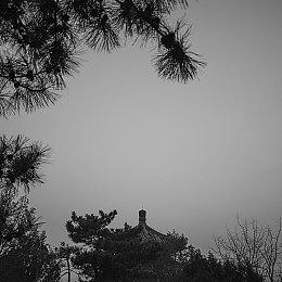 爆料称索尼在线服务游戏《Fairgame$》延期到明年发售